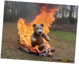 bear-fire.png