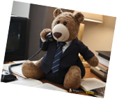 bear-office-2.png