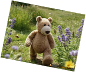 bear-spring-3.png