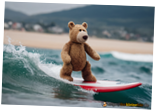 bear-surfing.png