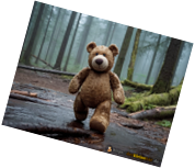 bear-wet-wood-1.png